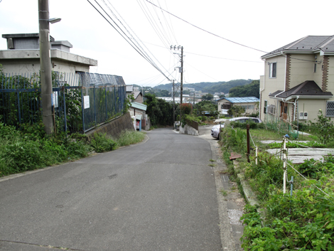 20150924hike (182)